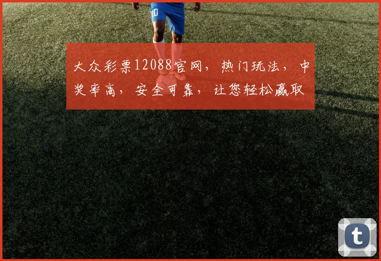大众彩票12088官网，热门玩法，中奖率高，安全可靠，让您轻松赢取大奖