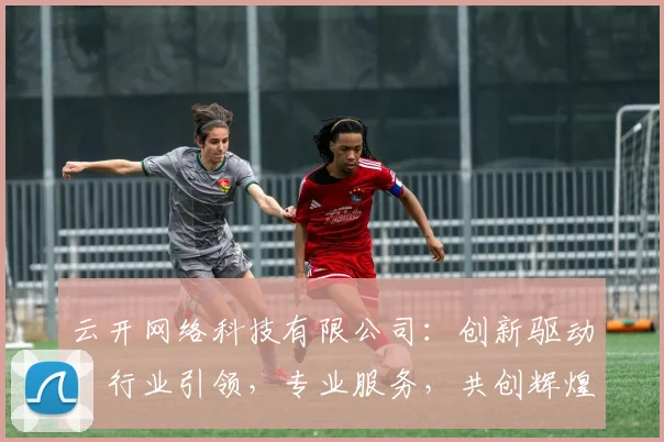 云开网络科技有限公司：创新驱动，行业引领，专业服务，共创辉煌，助力企业腾飞