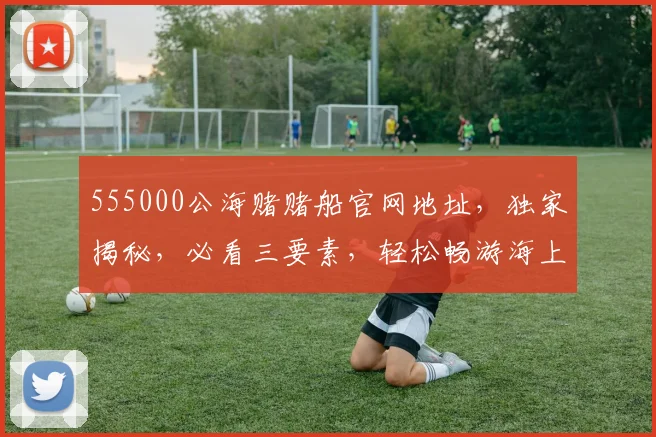 555000公海赌赌船官网地址，独家揭秘，必看三要素，轻松畅游海上娱乐