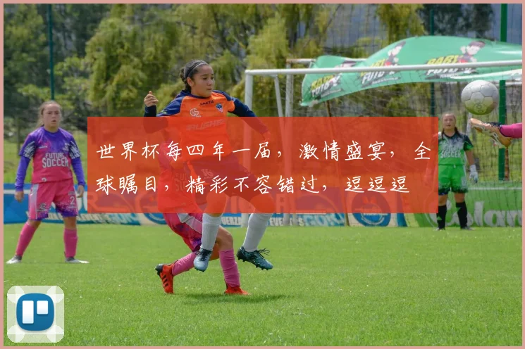 世界杯每四年一届，激情盛宴，全球瞩目，精彩不容错过，逗逗逗