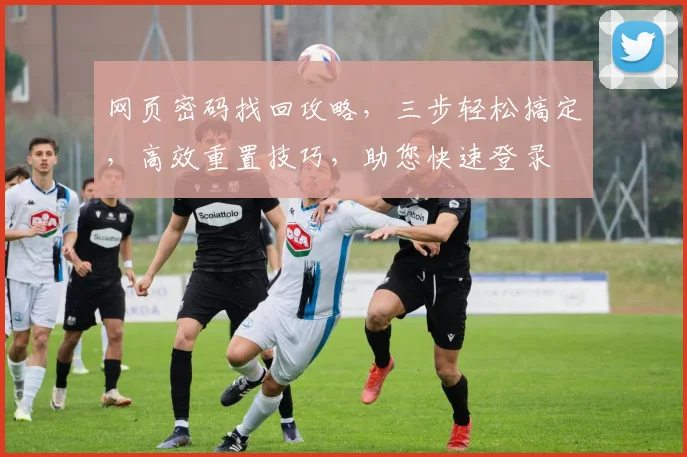 网页密码找回攻略，三步轻松搞定，高效重置技巧，助您快速登录