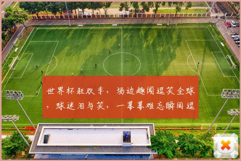 世界杯狂欢季，场边趣闻逗笑全球，球迷泪与笑，一幕幕难忘瞬间逗逗逗