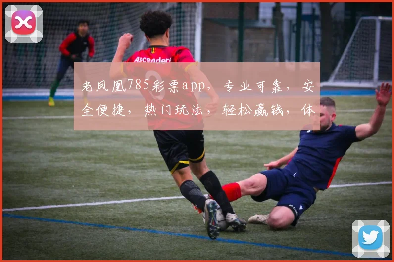 老凤凰785彩票app，专业可靠，安全便捷，热门玩法，轻松赢钱，体验非凡